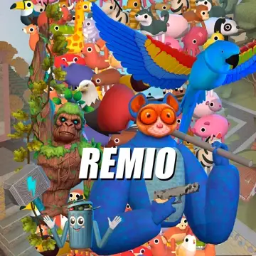 Remio — application artwork