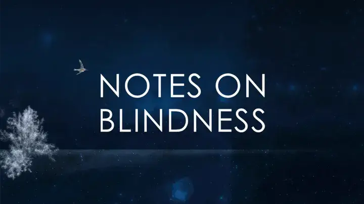 NOTES ON BLINDNESS