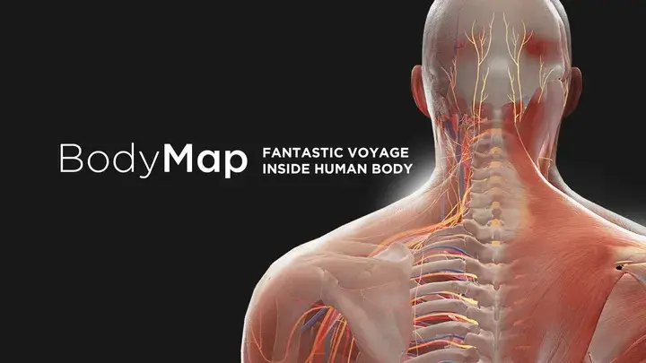 BodyMap